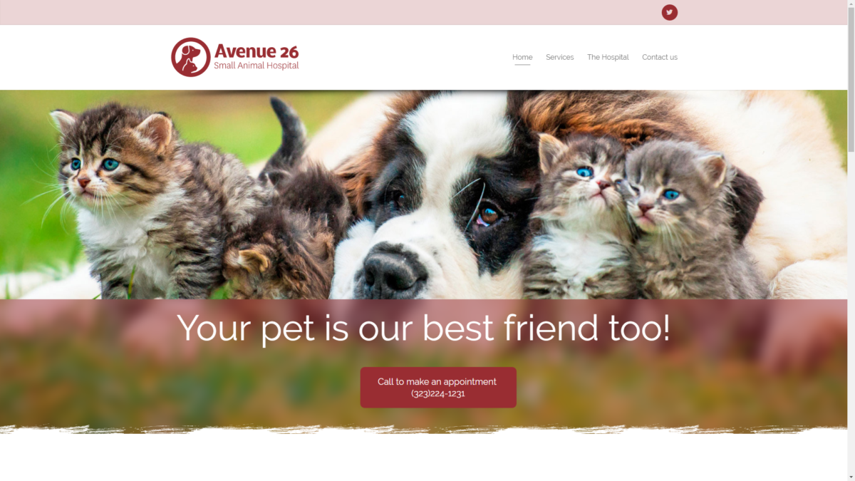Lis7o presents new Small Animal Hospital website
